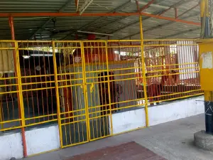 Kalika Mata Temple