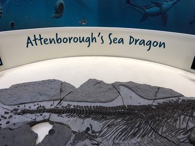 Charmouth Heritage Coast Centre