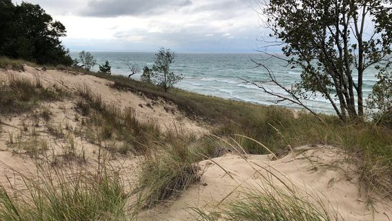 Indiana Dunes State Park