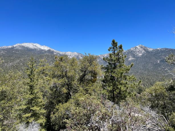 Mount San Jacinto State Park