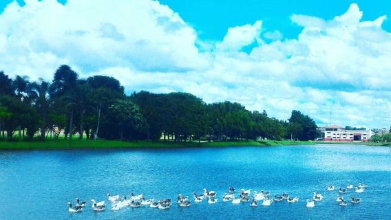 Parque Lacustre