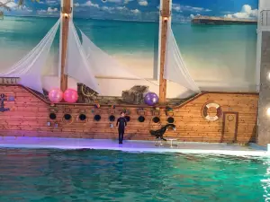 Dolphinarium Oskar