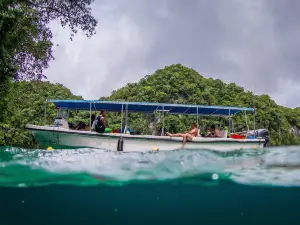 Palau Dive Adventures