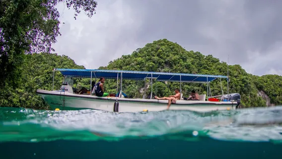 Palau Dive Adventures