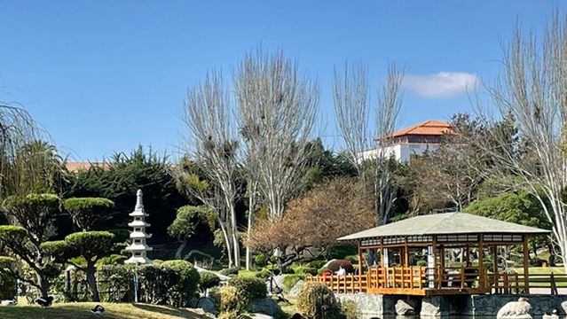 Japanese Garden La Serena