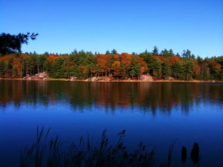 Các khách sạn ở Nottingham