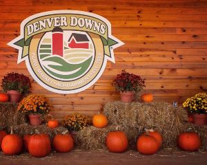 香港-安德森縣 機票酒店 自由行