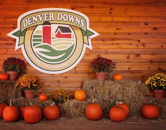 安德森縣 自由行套票