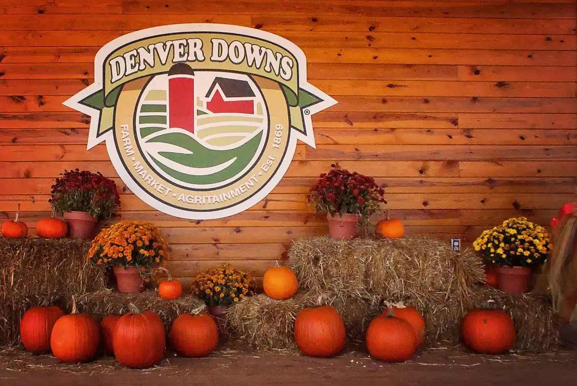 Hotels in der Nähe von Denver Downs Farm