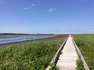 根室市春國岱原生野島公園