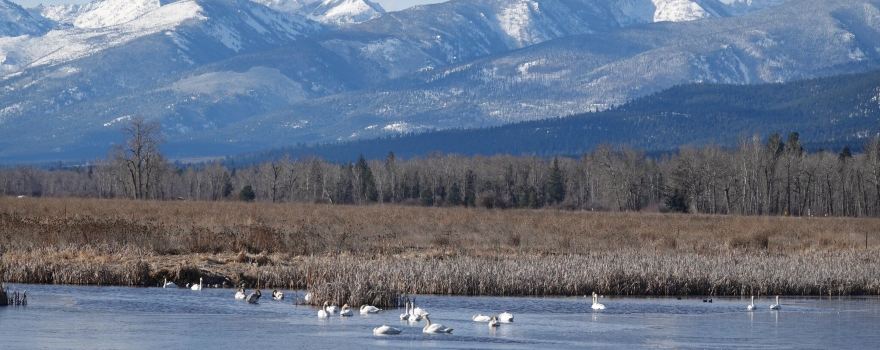 Lee Metcalf National Wildlife Refuge