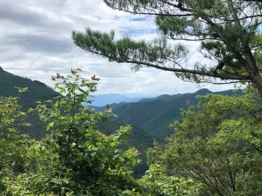 Tenkawa