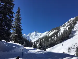 Silverton Mountain Ski Area