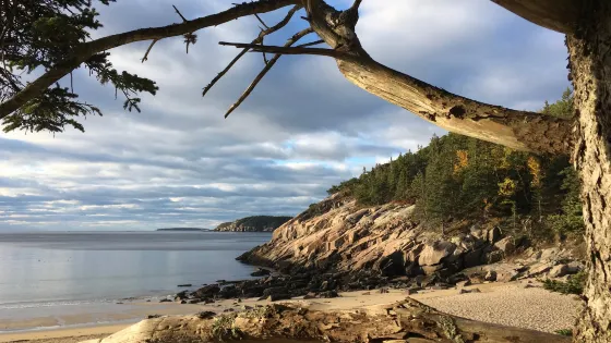 Sand Beach