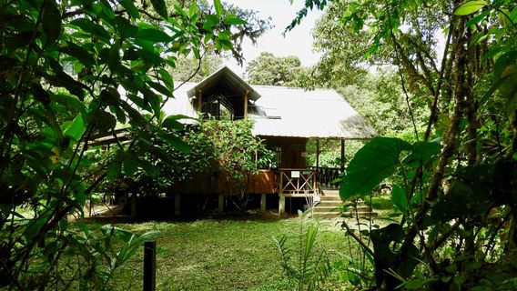 Las Tangaras Reserve (Reserva las Tangaras)