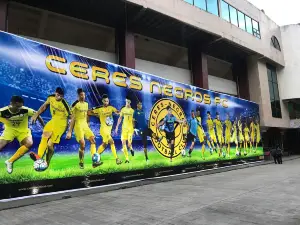 Stade Panaad