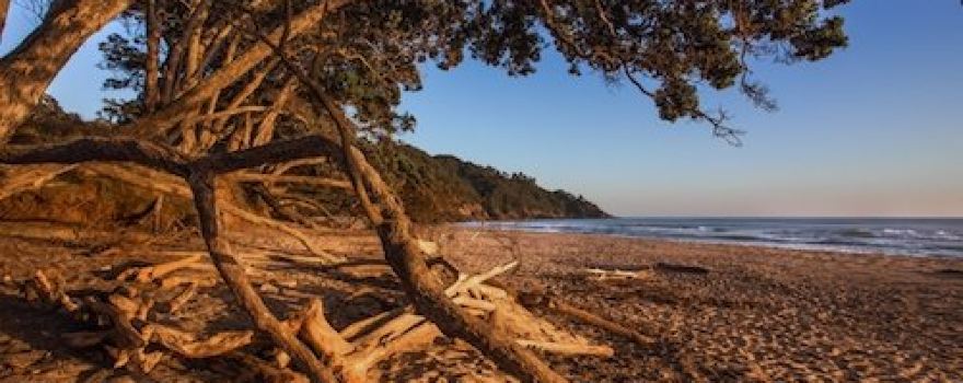 Waihi Beach