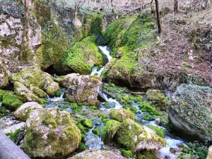 Waterfall Sušec