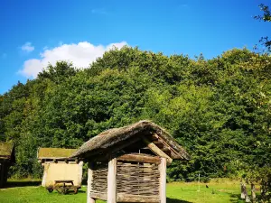 Steinzeitpark Dithmarschen