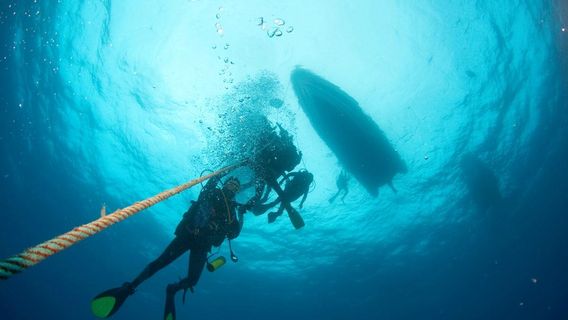 Porto Santo Sub - Centro de Mergulho