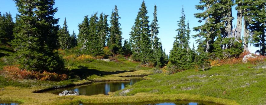 Sleeping Beauty Mountain Provincial Park