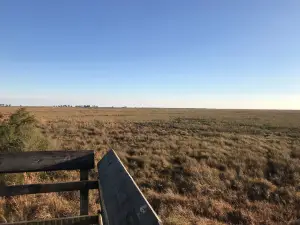 Big Branch Marsh National Wildlife Refuge