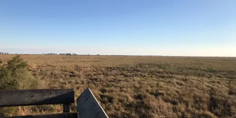 Big Branch Marsh National Wildlife Refuge