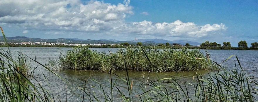 Laguna de les Olles