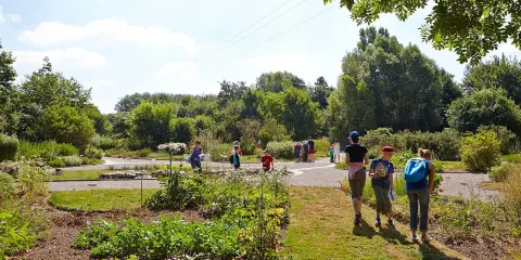 Conservatoire botanique national de Bailleul