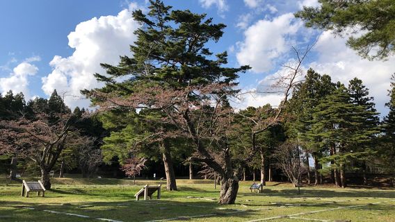 Matsumae Clan Hekirichi Jinya Ruins