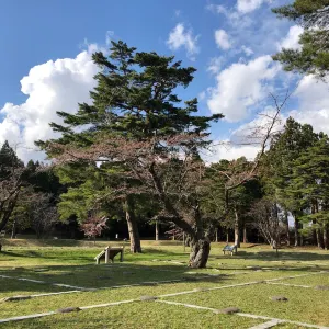 松前藩戸切地陣屋跡