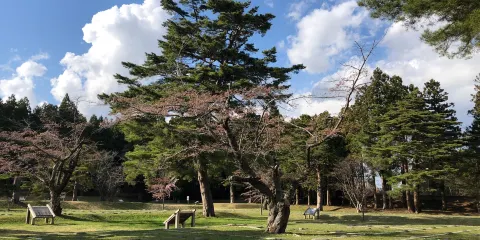 松前藩戶切地陣屋跡