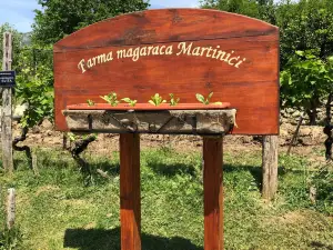 Farma magaraca Martinici