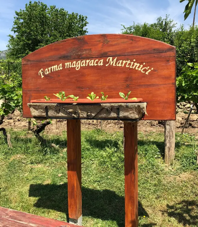 Donji Martinici