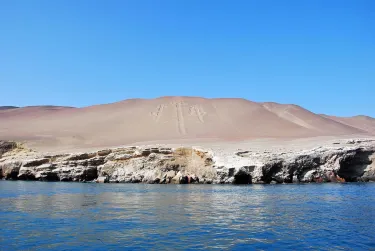 Pisco
