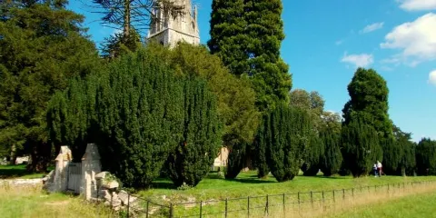Holy Innocents Church