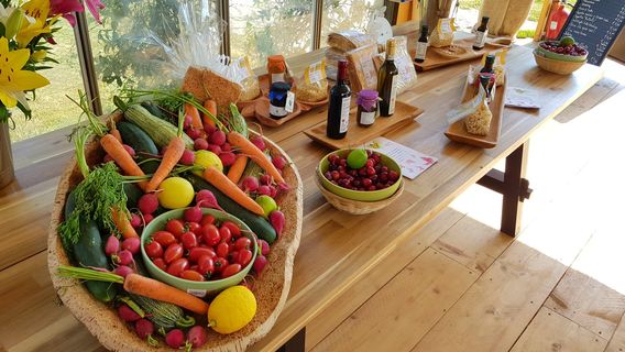 Butterfly House Sardegna