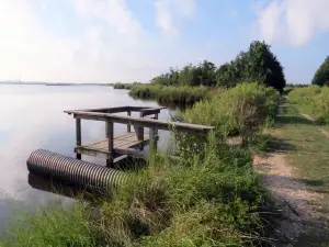 Lower Neches WMA