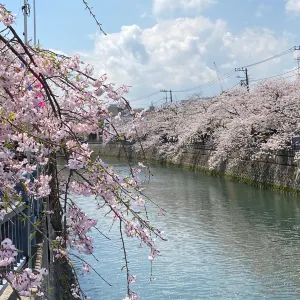 大岡川プロムナード