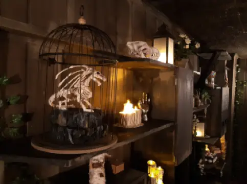 The Key - Real Life Escape Games