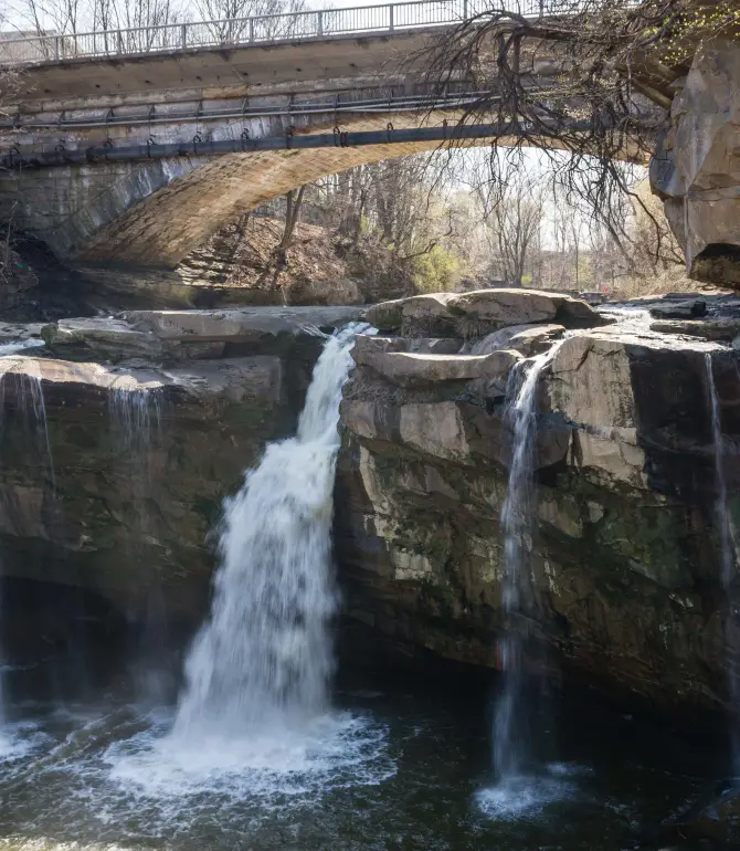 Elyria