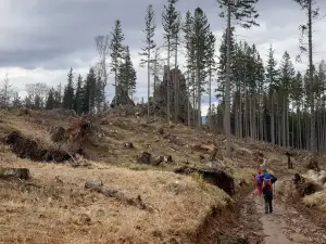 Landschaftsschutzpark Landeshuter Kamm