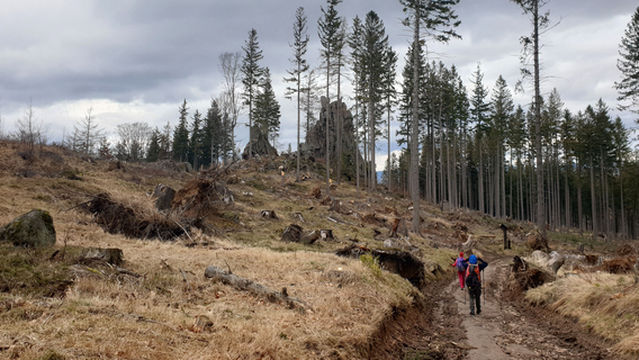 Rudawski Park Krajobrazowy
