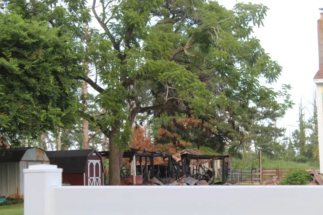 Hotels near Beebe Ranch
