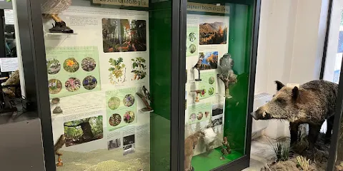 Civico Museo di Scienze Naturali