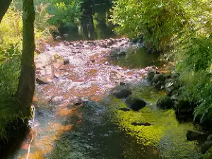 Camping Les Monts du Cantal - Onlycamp