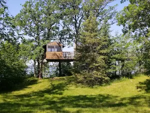 Many Point Scout Camp