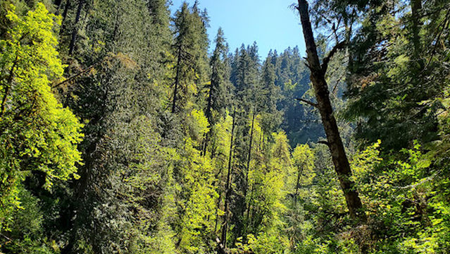 Broken Bowl Campground