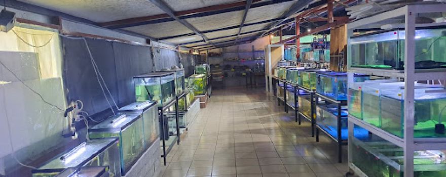 Acuario Tlaxcala, Acuatlax