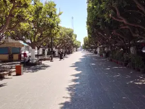 COUR DE LA RÉVOLUTION ANNABA